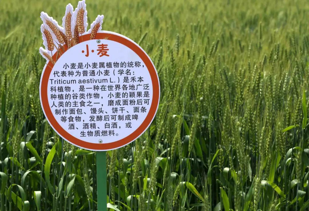 一起去瓶窑“拿块地”！古城旁，南山下，50个平方200元......