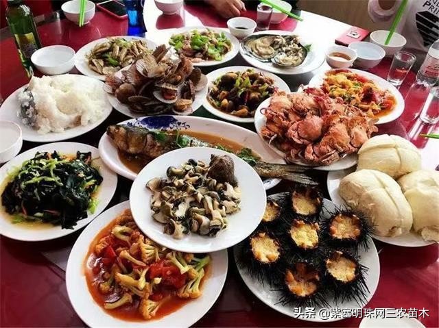 长岛值得去的渔家乐,长岛美丽的海岛