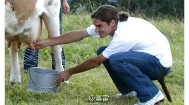 如何防止奶牛乳房炎,奶牛乳房炎反复发炎该怎么治疗