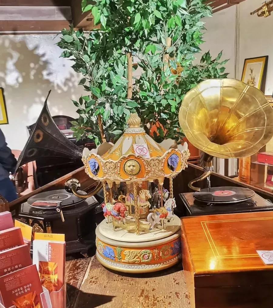 中国雪乡vs日本北海道雪景,日本北海道和东部雪乡哪个好