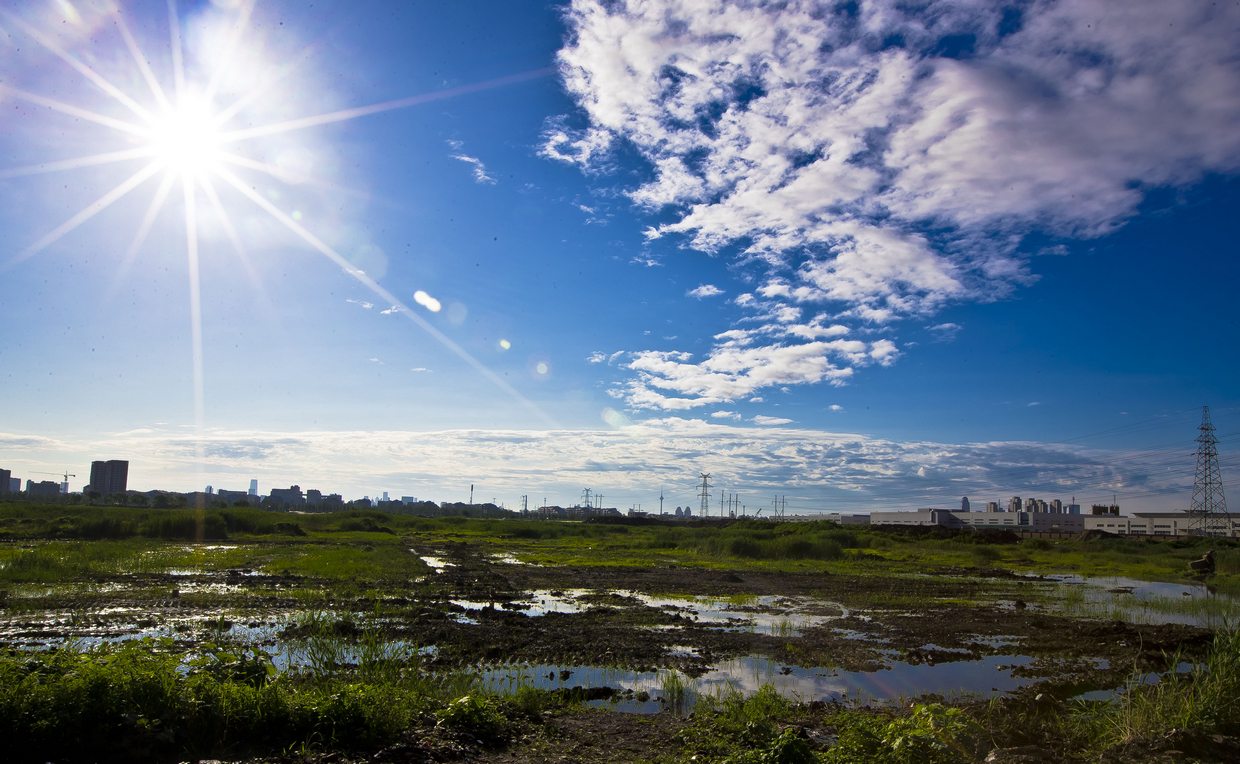徐州醉美楼兰,徐州醉美火锅鸡
