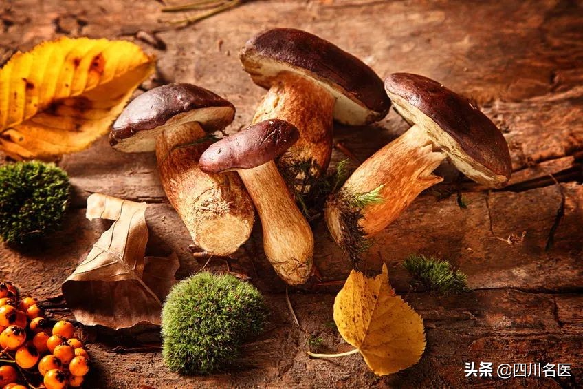 条件性真菌病最常见致病真菌,真菌病分真菌感染和真菌中毒