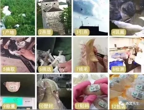 怎么知道燕窝有没有炖好,怎样知道自己适合吃哪种燕窝