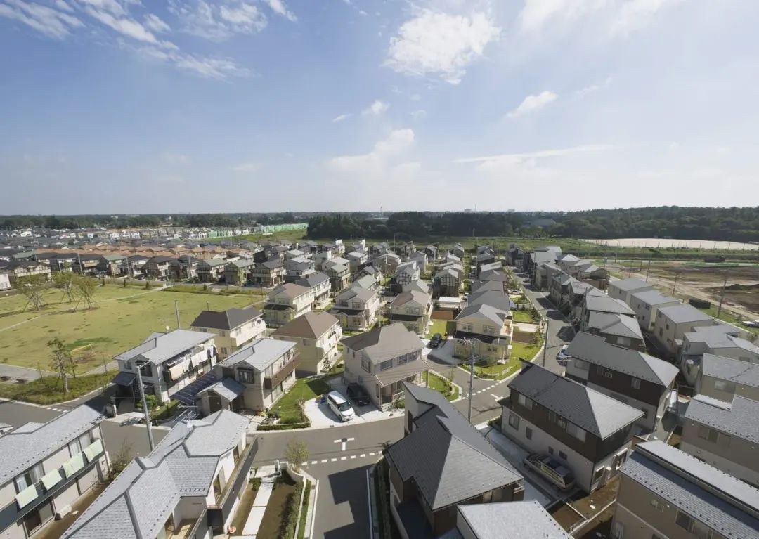 日本排放核污水发现大量死鱼,日本排放核废水被发现