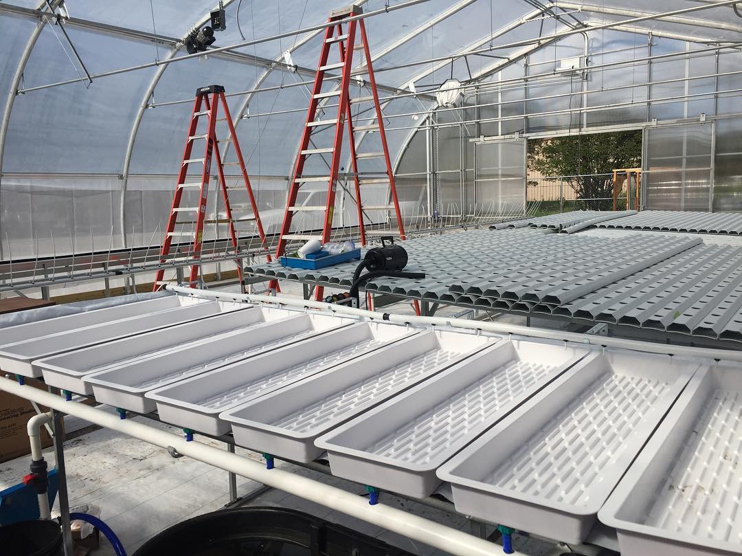 无土栽培用的营养液的成分,无土栽培营养液有什么