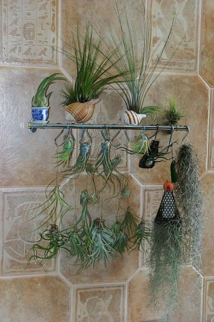 人养花一时养人一生,人养花同时花也养人