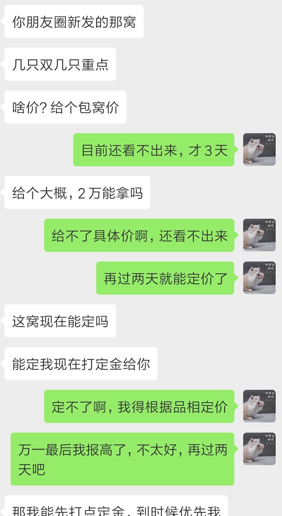 宠物猫行业前景如何,为什么宠物行业利润大