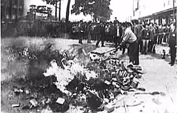 杉杉雅戈尔工厂,杉杉造车雅戈尔