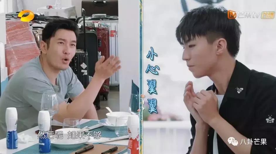 中餐厅黄晓明和苏大强,中餐厅赵薇和黄晓明区别