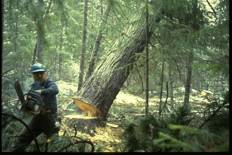 汪么屯人钱途门路多