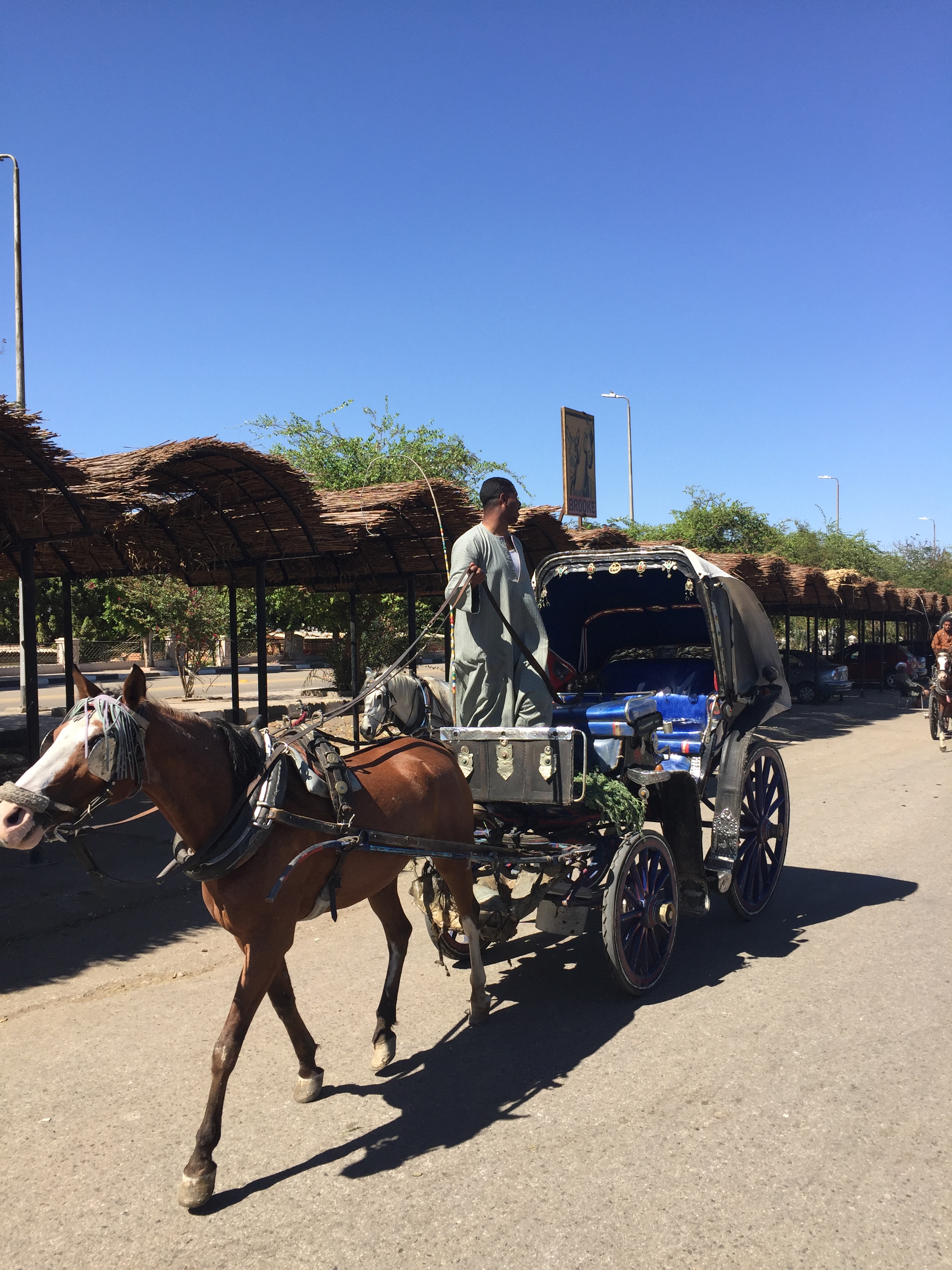 尼罗河畔古埃及文明,尼罗河畔的古埃及妇女
