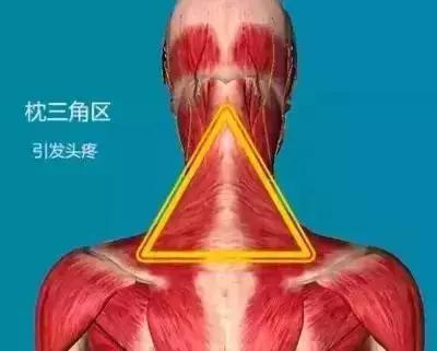 身体有5个危险三角区,身体三角区有哪些危险