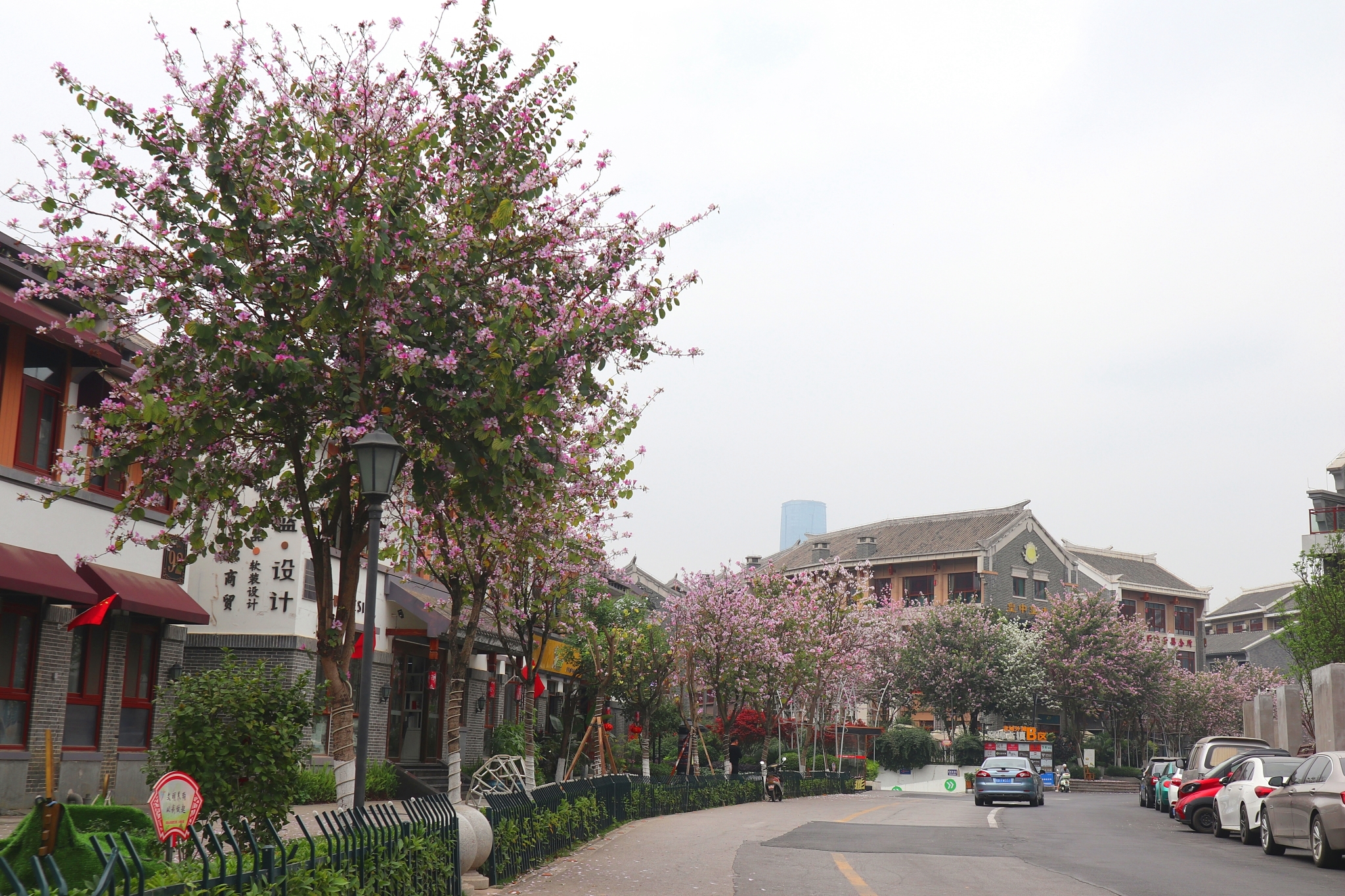 广西柳州旅行攻略,柳州市区一日游旅游攻略