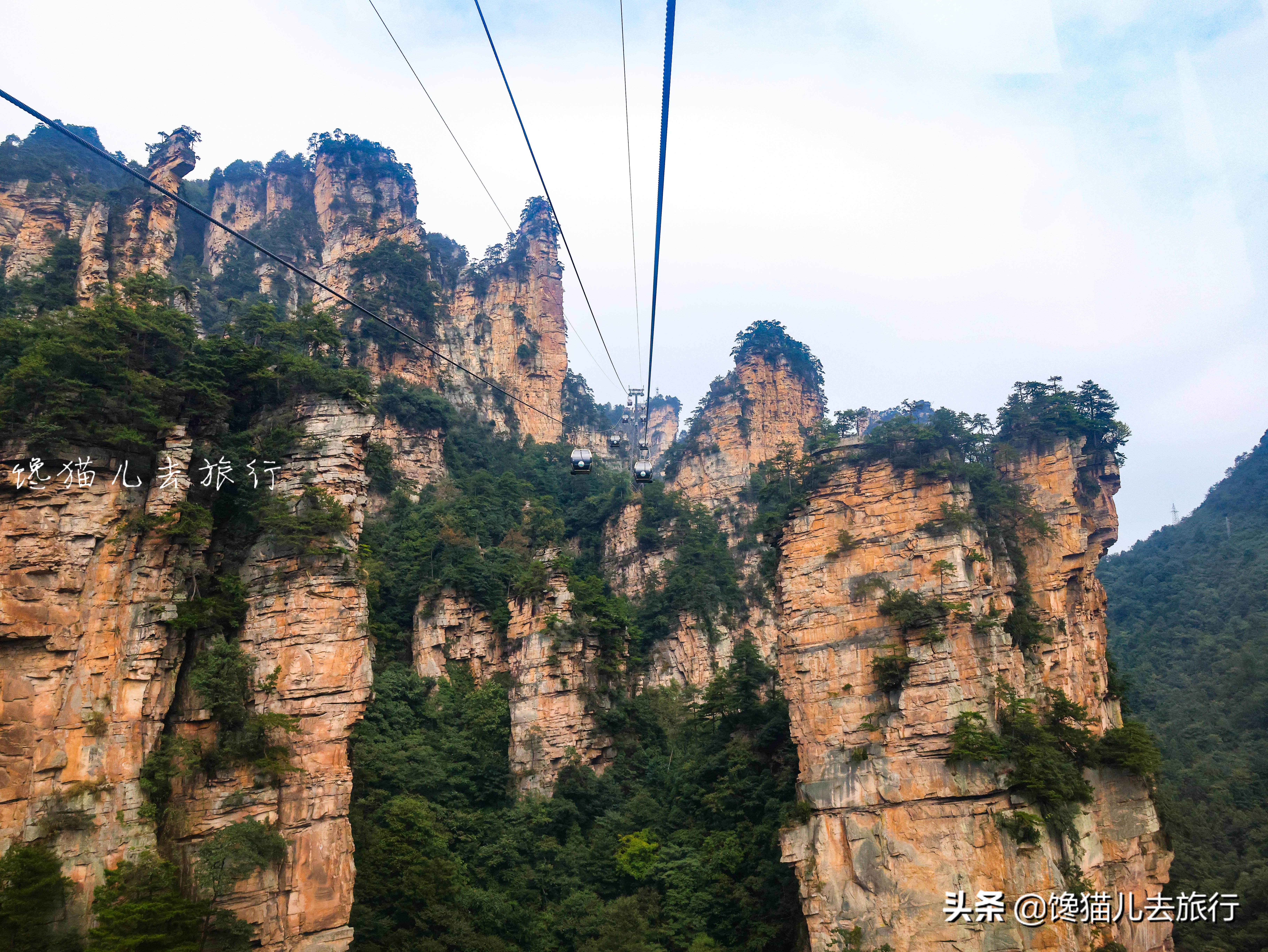 湖南张家界五日游计划安排,湖南张家界旅游方案
