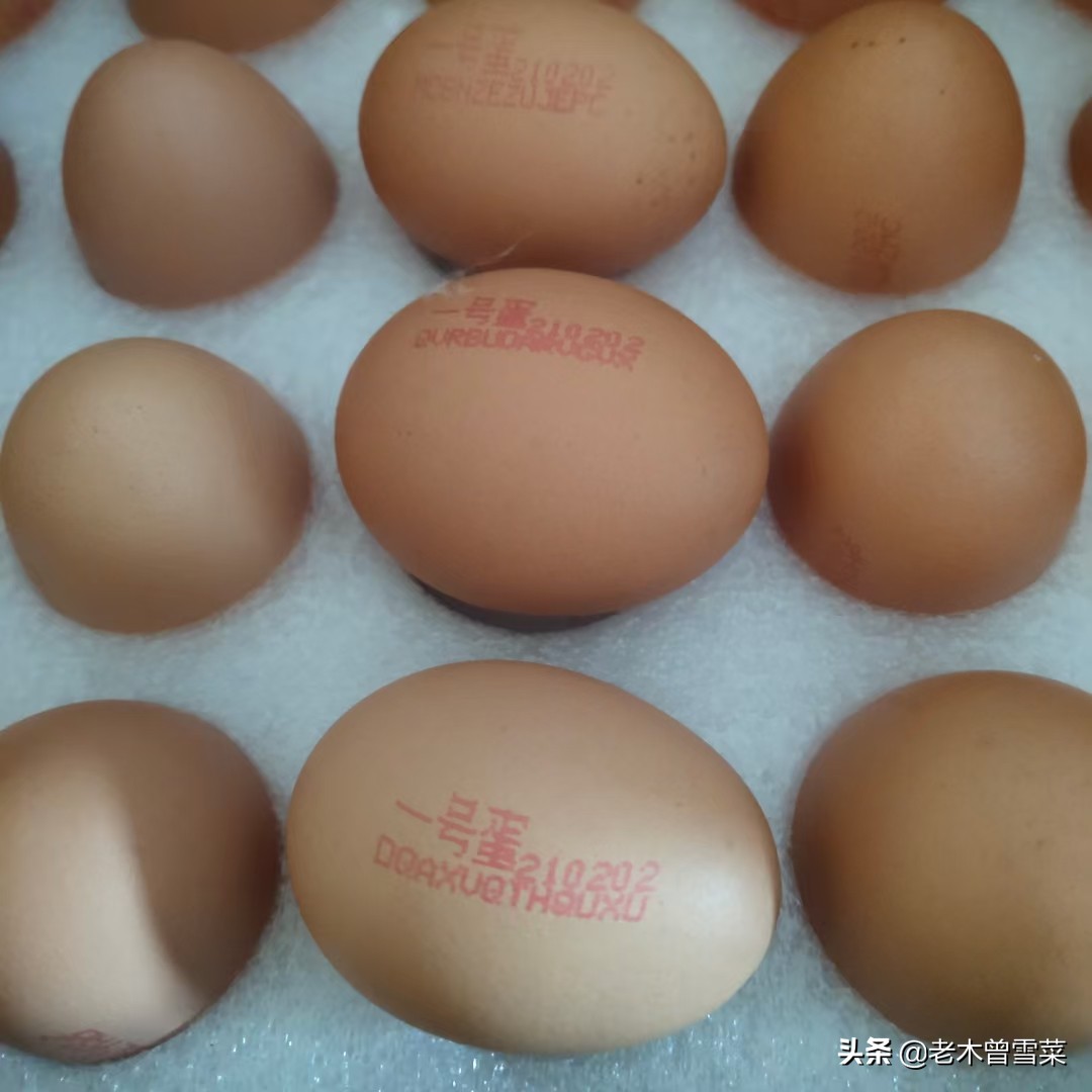2021吃好蛋~我买过的那些电商鸡蛋