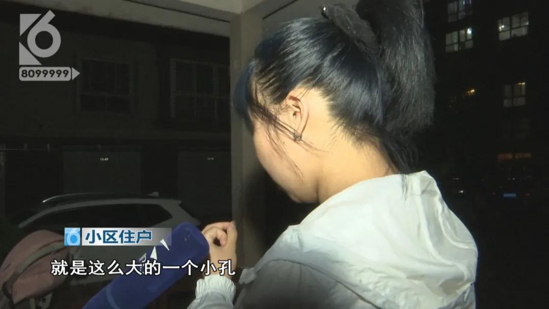 “铁疙瘩射入体内十几厘米”独自下楼的宠物狗究竟遭遇了什么？