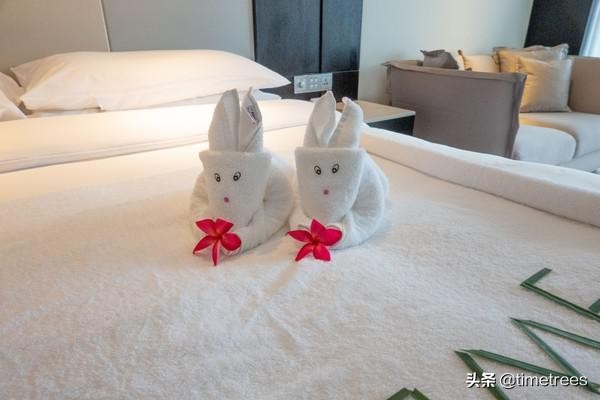 亚龙湾最值得一家人住的酒店,亚龙湾各酒店对比