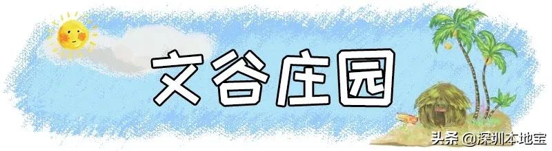 深圳免费的景点有哪些地方,深圳有哪些免费又好玩的地方景点