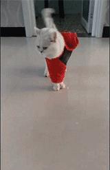 “如果这群女混混*攻围**我,我会舌战群儒!”你会怎样脱困?