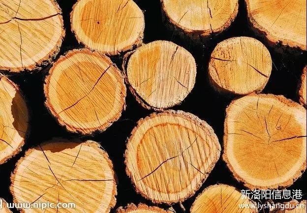 定制的烤漆柜门开裂的原因,实木柜门开裂处理方法