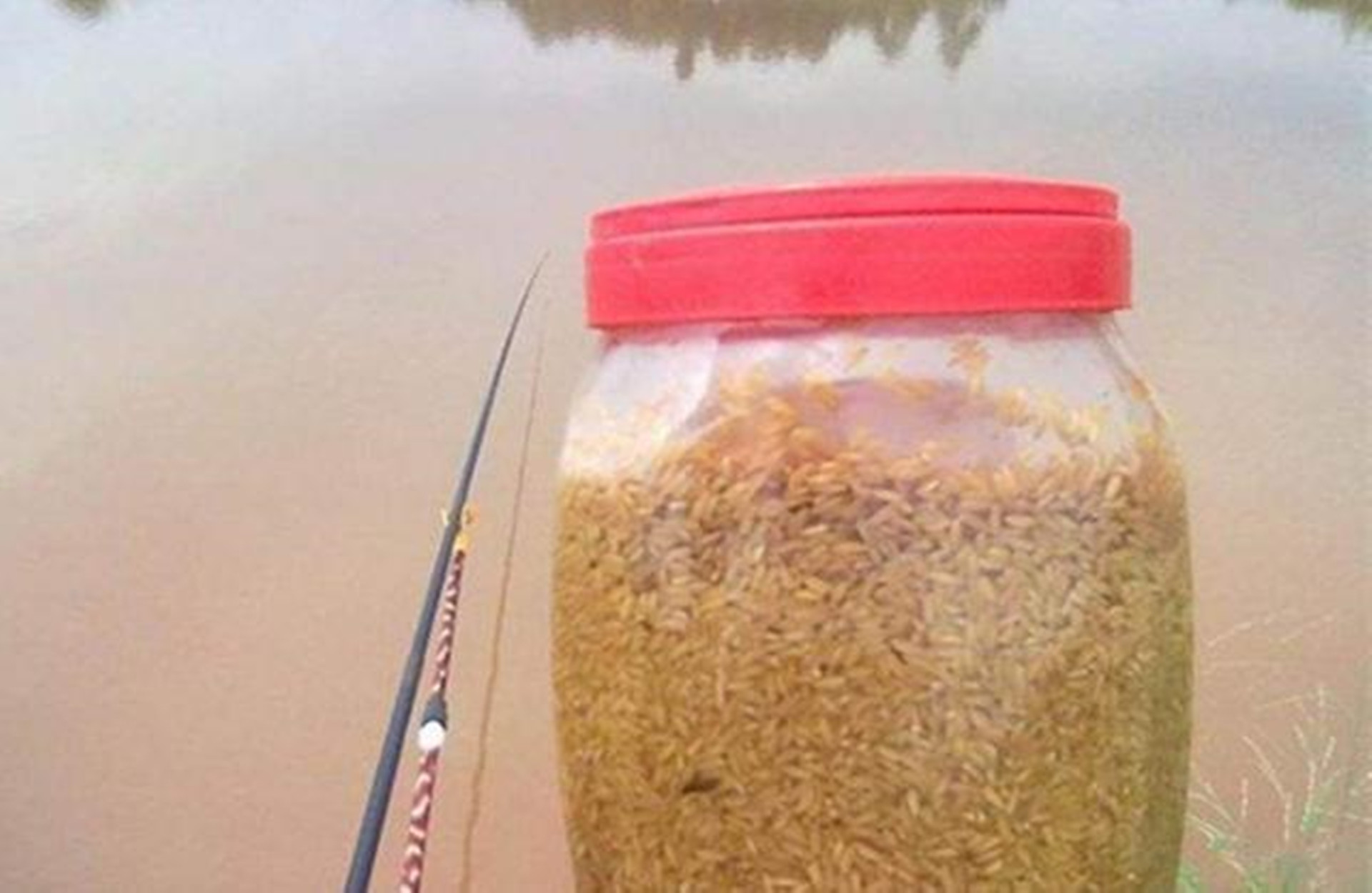 怎样打窝最有利于垂钓,打窝子钓鱼全过程