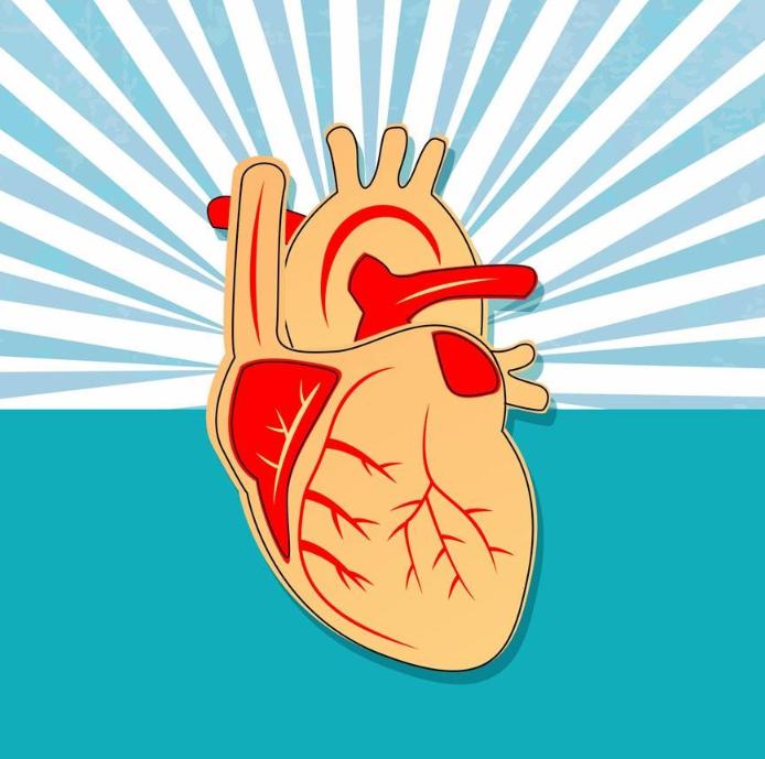 高血压是常见的慢性病，那么如何通过营养治疗来改善高血压？