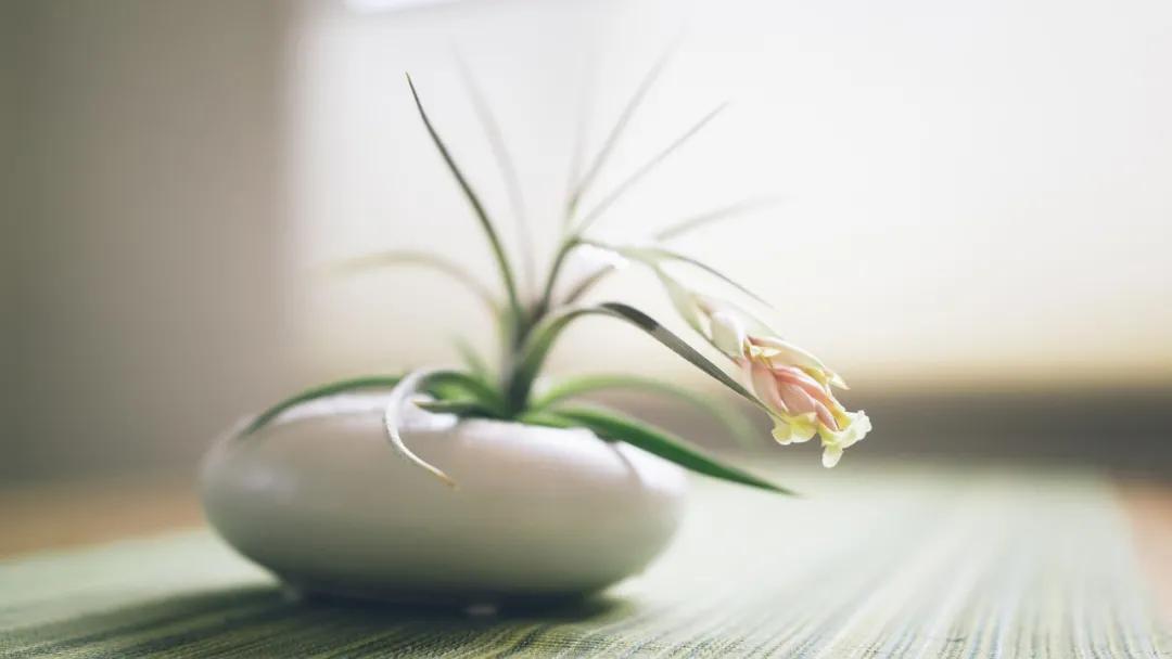 如何选择靠谱的心理咨询师机构,洛阳心理咨询师培训哪家靠谱