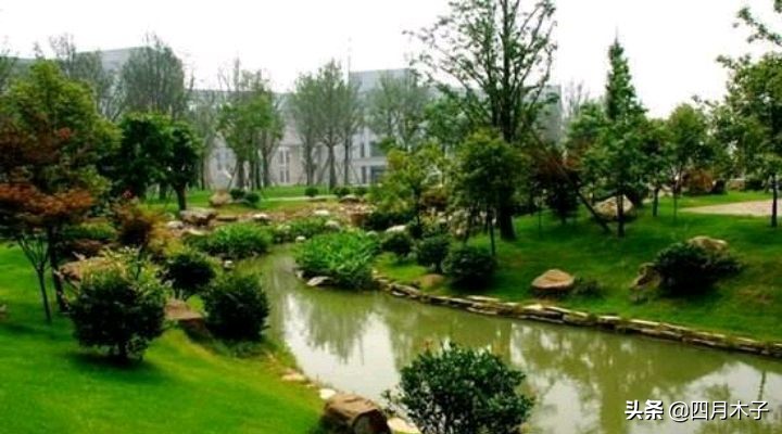 简短点赞率最高的句子,点赞最多感恩简短走心的句子