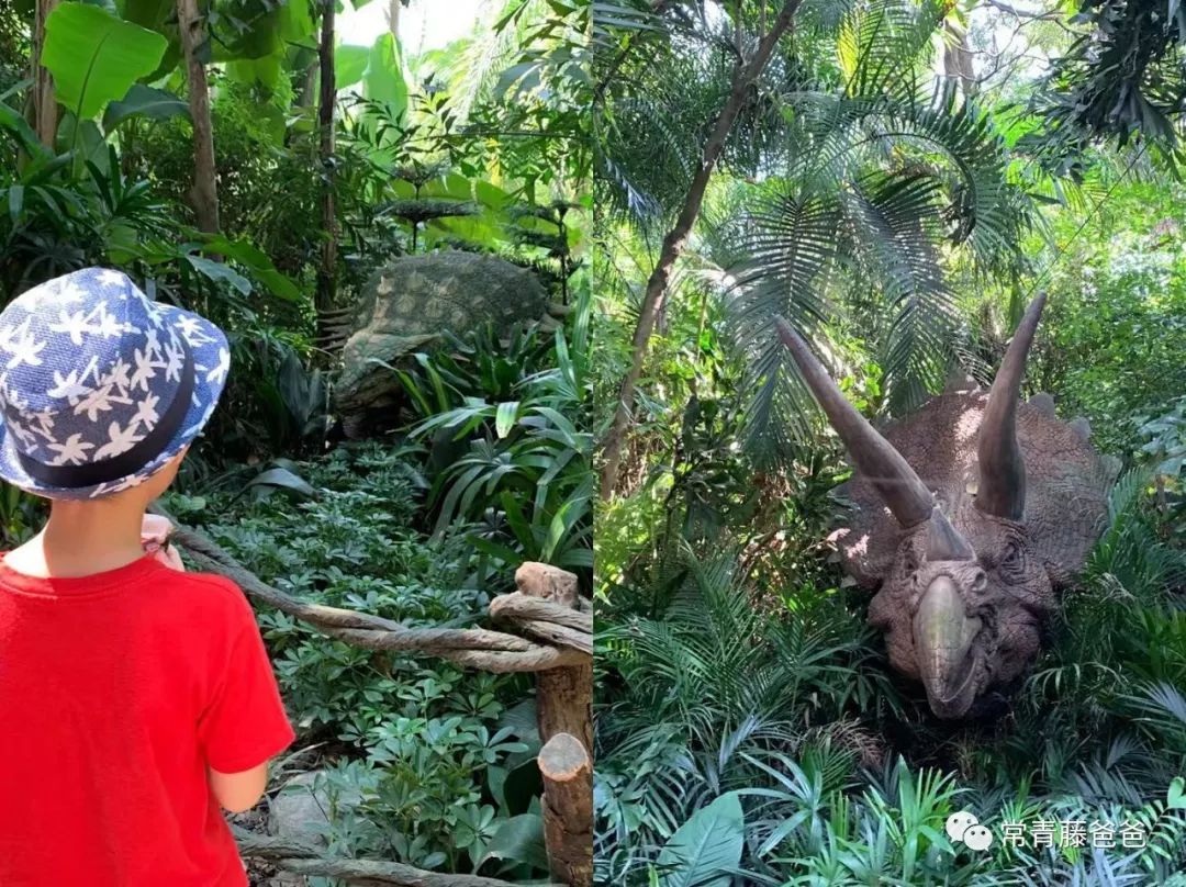 广州长隆游玩攻略水上乐园怎么去,过年去珠海长隆海洋王国游玩攻略