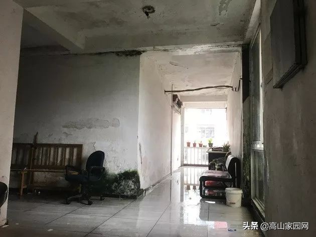 福清老板拥有的一根木头,能值600万?