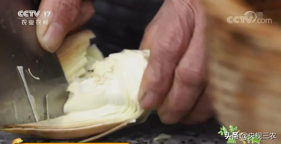 五星级大厨教你冬笋怎么没有涩味,冬笋去除涩味凉水下锅还是开水