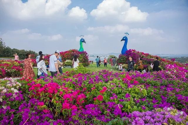 中国之美惊艳全世界,中国之美镜头视频