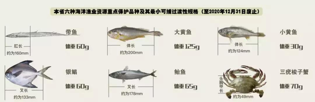 世界最好吃的十大海鲜排行榜,温州最有名的十大海鲜