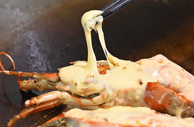 大渔铁板烧里的芝士扇贝,日式铁板烧芝士焗大虾