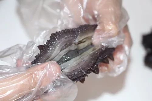 海参泡发时煮着好还是蒸着好,你们吃过的海参怎么吃