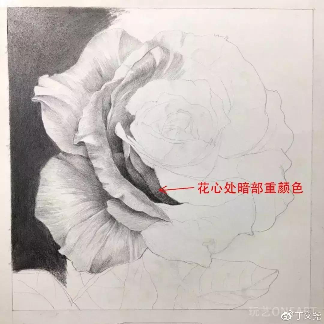 素描教程简单8-12岁玫瑰花,玫瑰素描怎么画