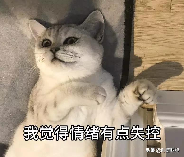 叶檀富豪榜,叶檀财经故事