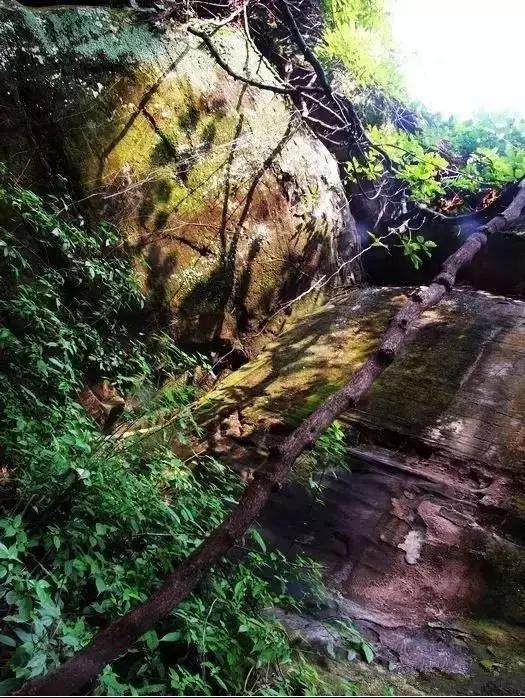 四川便宜又宜居的小城市,四川宜居的三四线小城