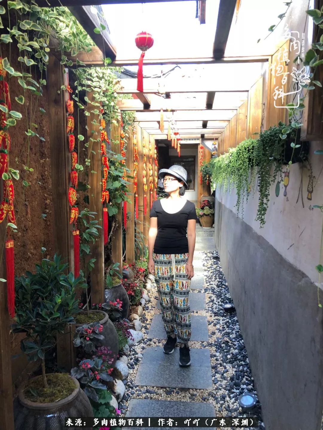 涓冨僵浜戝崡澶氳倝,浜戝崡澶氳倝涔嬫梾