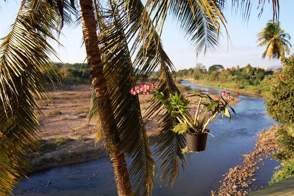 夜丰颂到清迈巴士,夜丰颂府旅行