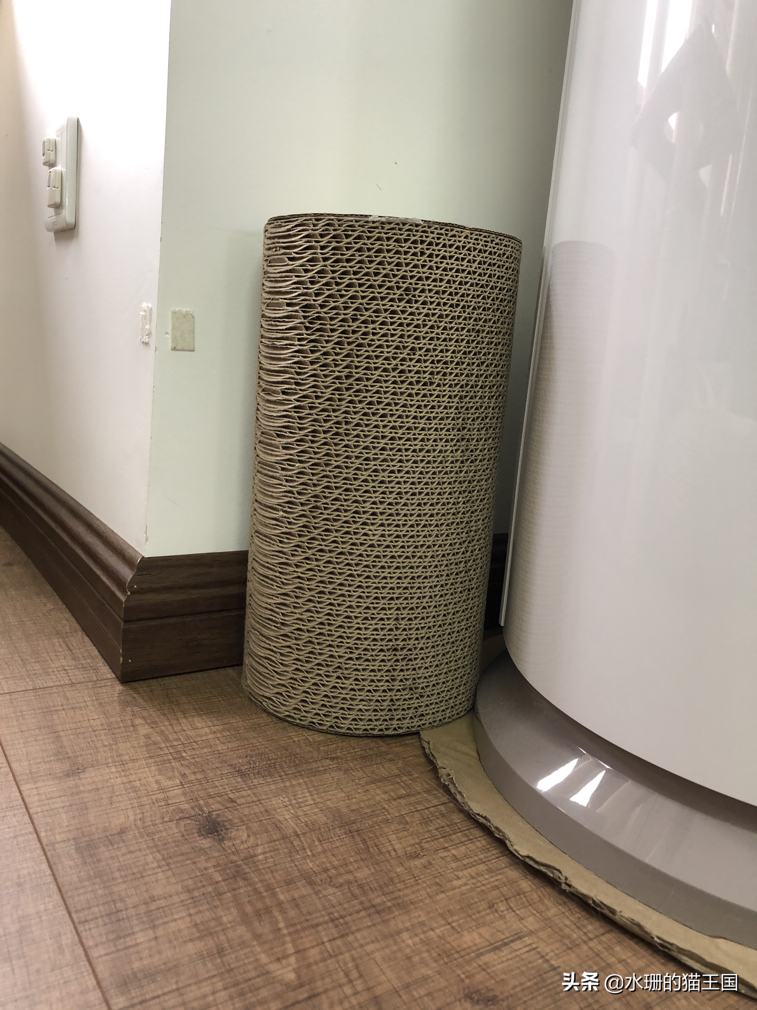 没有不磨爪爪的猫,可猫咪到处乱挠怎么破?看我家猫咪磨爪训练!