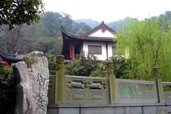 中国最贵的高端茶,中国最贵的茶排行榜前十