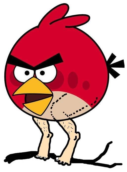 为什么鸡的脖子总是向后伸,为何鸡的膝盖向后弯