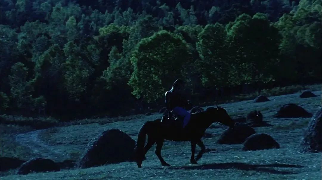 腾格尔曾经出演过哪部电影,腾格尔友情出演的电影