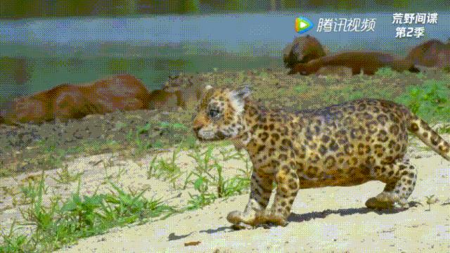 你在搞笑吗韩语,bbc搞笑视频