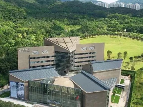 有哪些好玩的地方适合儿童深圳,深圳适合小朋友玩的8个免费景点