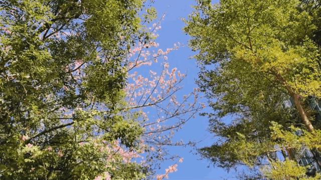 拍摄vlog必备的工具有哪些,vlog从零开始拍摄教程