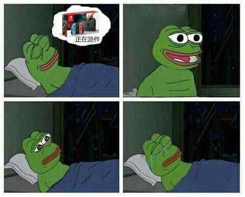 买了switchns有什么要注意的,switchns在哪个平台买靠谱