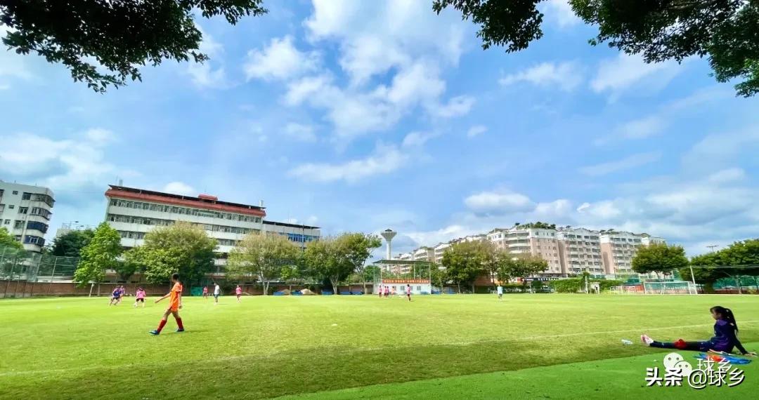 聚力办实事服务群众,为群众办实事系列活动