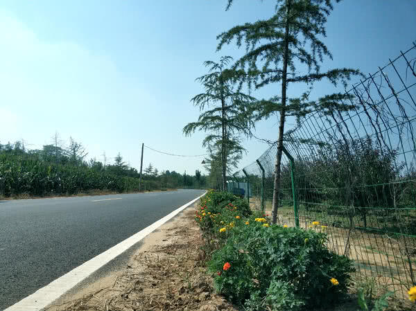 中国红枣之乡新郑,新郑市助力乡村振兴